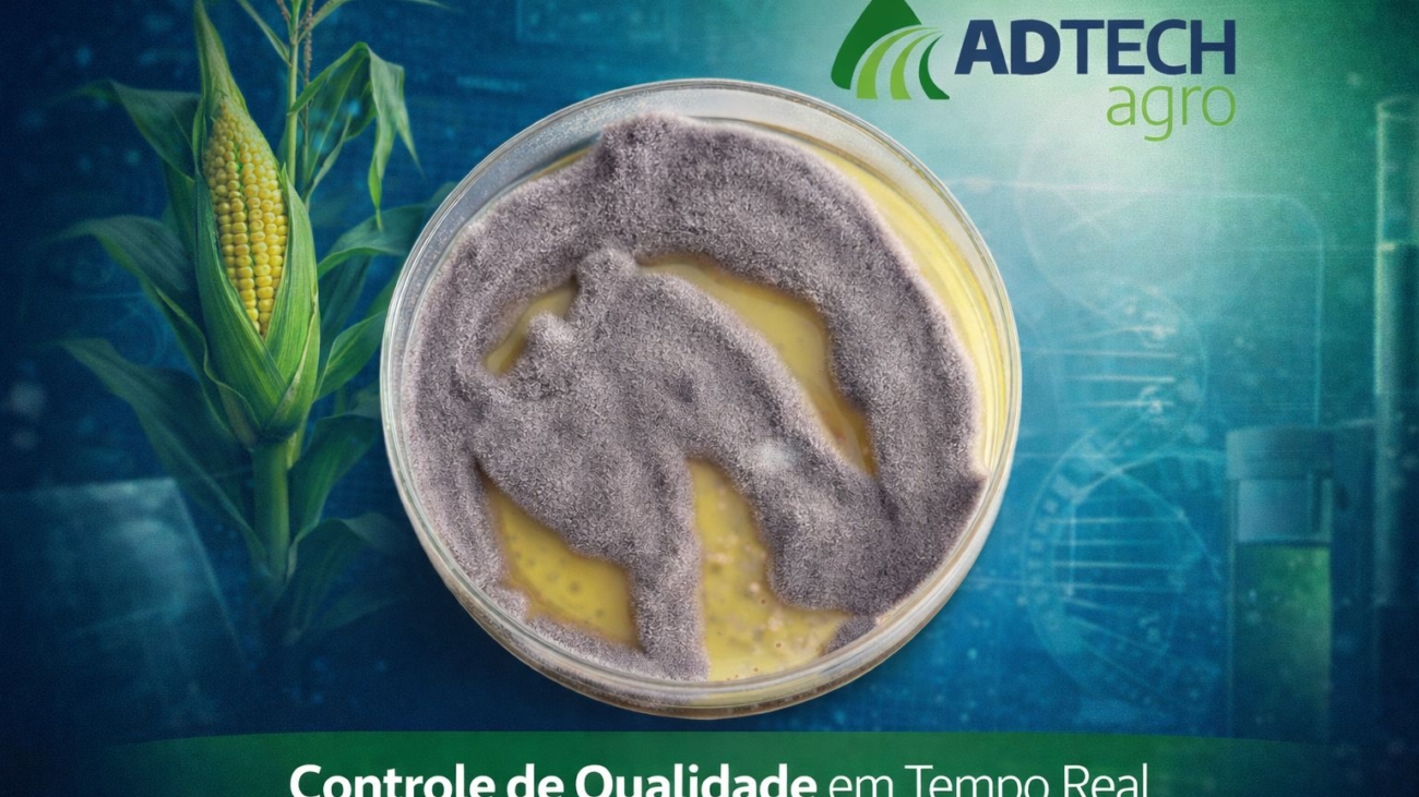 WhatsApp Image 2026-02-20 at 15.01.58